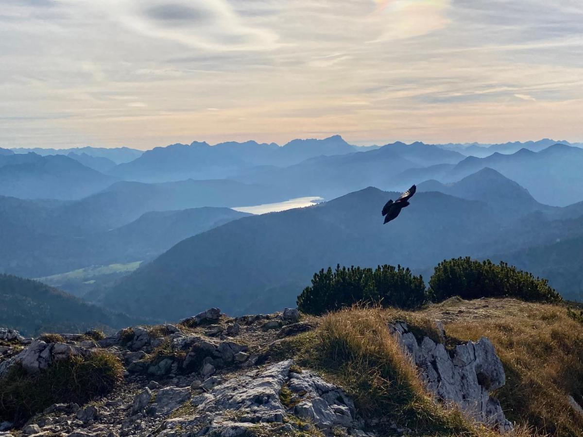Отель Alpenhof Kruen Экстерьер фото